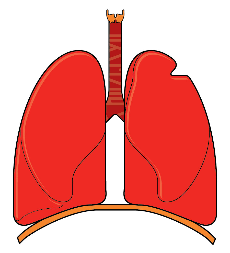 surgery-for-non-small-cell-lung-cancer-information-and-support