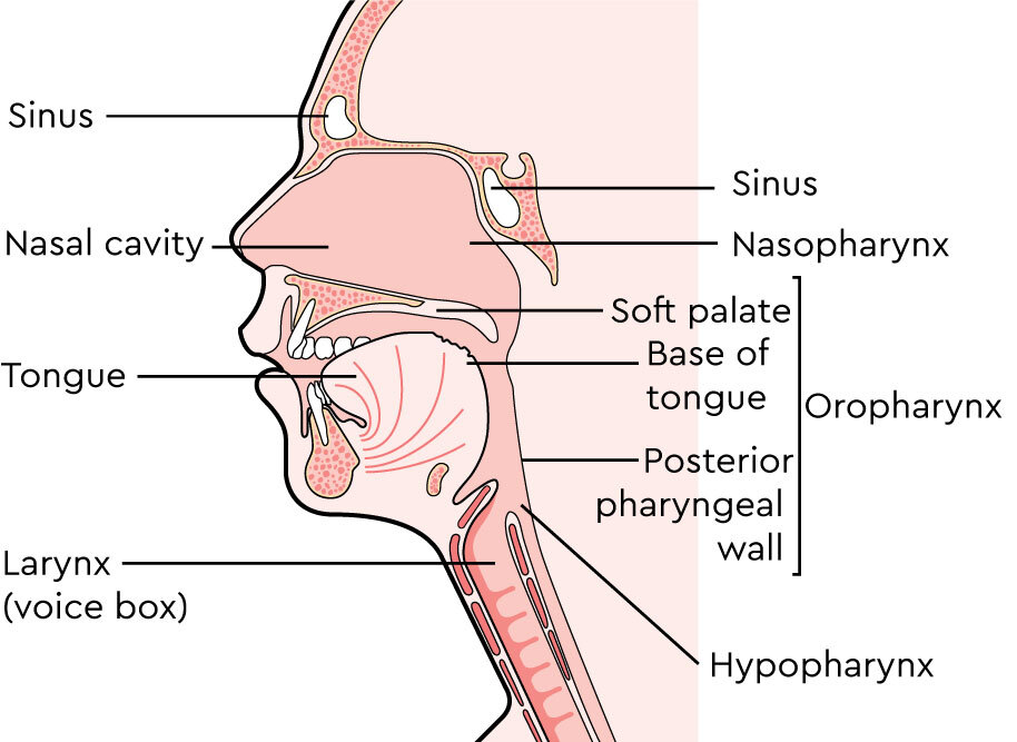 oropharyngeal cancer