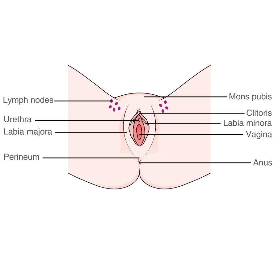 vaginal skin irritation